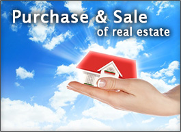 PURCHASE & SALE OF REAL ESTATE